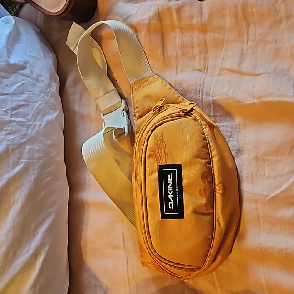 Dakine Hip Pack